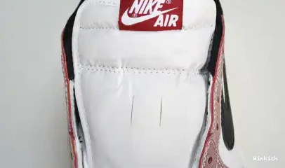 Trophy x Low Jordan OG Air FN0432-017 Room 1 0611